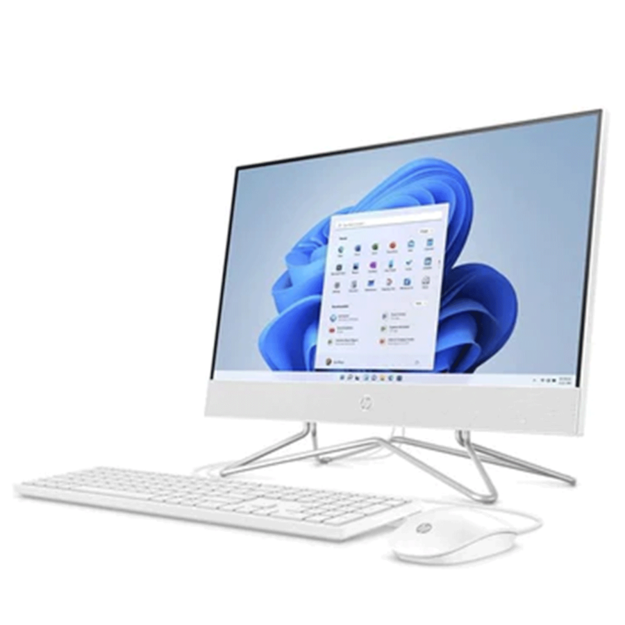 All-in-one Desktop Computer (1)